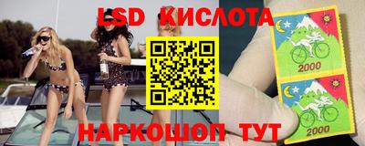 мдпв Бердск