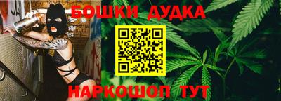 мдпв Бердск