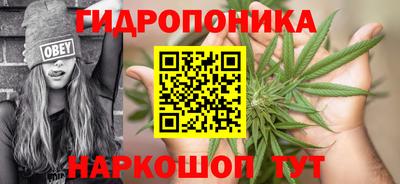 гидра Брянск