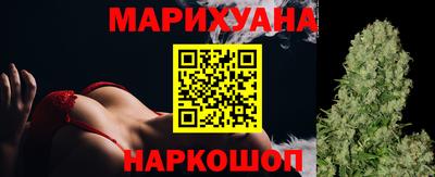 мдпв Бердск