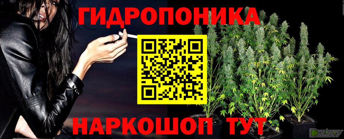 Конопля конопля Ахтубинск